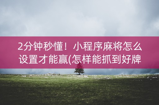 2分钟秒懂！小程序麻将怎么设置才能赢(怎样能抓到好牌)