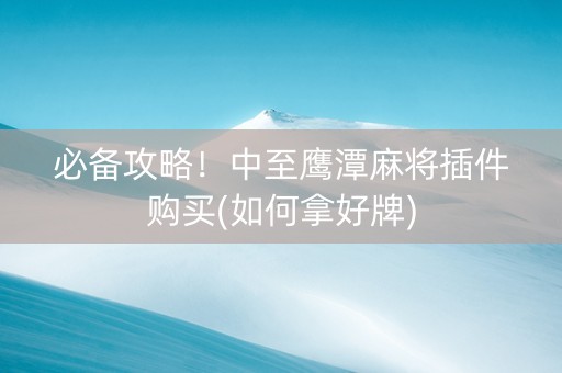 必备攻略！中至鹰潭麻将插件购买(如何拿好牌)