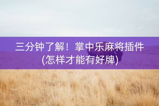 三分钟了解！掌中乐麻将插件(怎样才能有好牌)