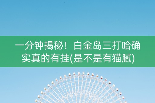 一分钟揭秘！白金岛三打哈确实真的有挂(是不是有猫腻)