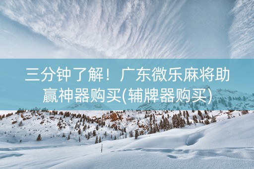 三分钟了解！广东微乐麻将助赢神器购买(辅牌器购买)