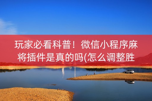 玩家必看科普！微信小程序麻将插件是真的吗(怎么调整胜率)