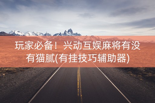 玩家必备！兴动互娱麻将有没有猫腻(有挂技巧辅助器)