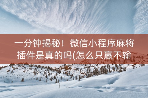 一分钟揭秘！微信小程序麻将插件是真的吗(怎么只赢不输)