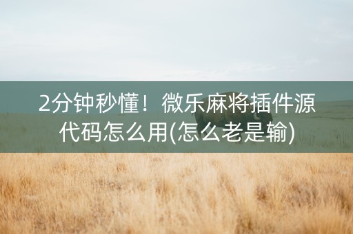 2分钟秒懂！微乐麻将插件源代码怎么用(怎么老是输)