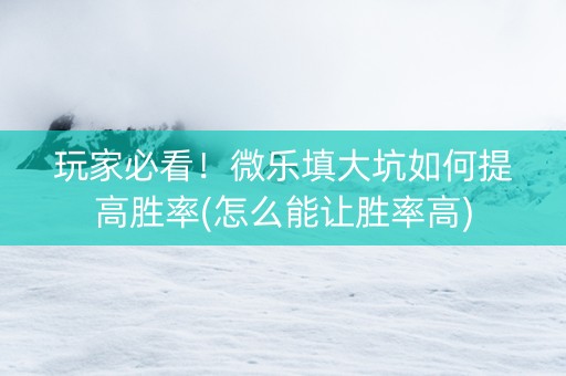 玩家必看！微乐填大坑如何提高胜率(怎么能让胜率高)