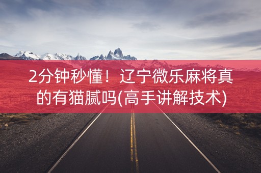 2分钟秒懂！辽宁微乐麻将真的有猫腻吗(高手讲解技术)