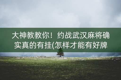 大神教教你！约战武汉麻将确实真的有挂(怎样才能有好牌)