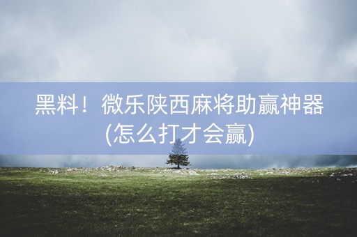 黑料！微乐陕西麻将助赢神器(怎么打才会赢)