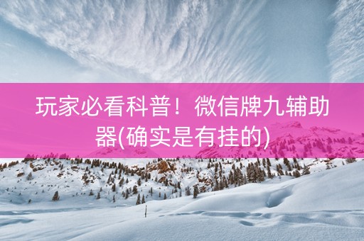 玩家必看科普！微信牌九辅助器(确实是有挂的)
