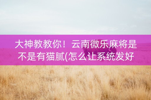 大神教教你！云南微乐麻将是不是有猫腻(怎么让系统发好牌)