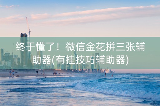 终于懂了！微信金花拼三张辅助器(有挂技巧辅助器)