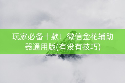 玩家必备十款！微信金花辅助器通用版(有没有技巧)