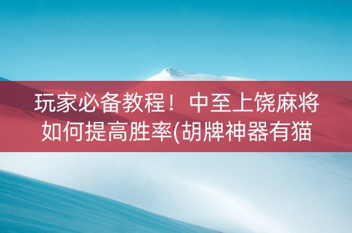 玩家必备教程！中至上饶麻将如何提高胜率(胡牌神器有猫腻吗)