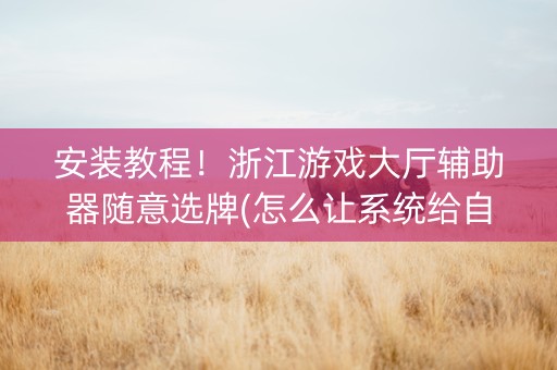安装教程！浙江游戏大厅辅助器随意选牌(怎么让系统给自己好牌)