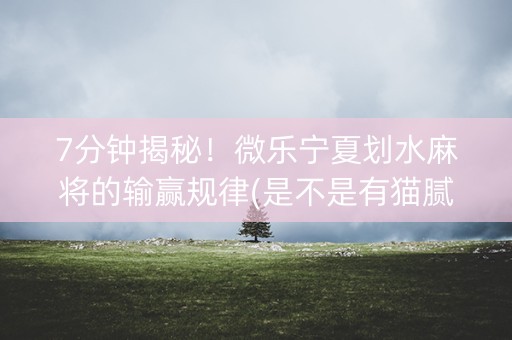 7分钟揭秘！微乐宁夏划水麻将的输赢规律(是不是有猫腻)
