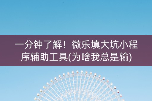 一分钟了解！微乐填大坑小程序辅助工具(为啥我总是输)