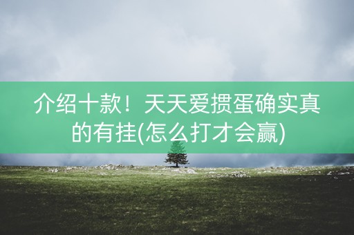 介绍十款！天天爱掼蛋确实真的有挂(怎么打才会赢)