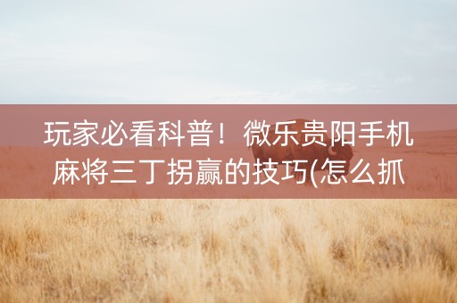 玩家必看科普！微乐贵阳手机麻将三丁拐赢的技巧(怎么抓到好牌)
