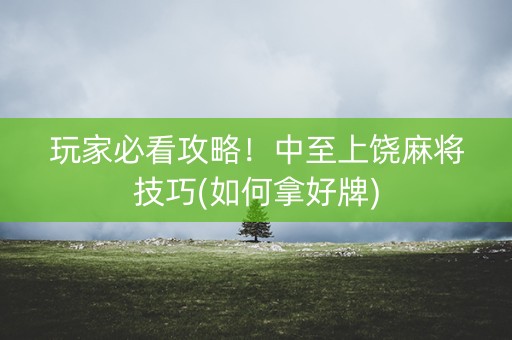 玩家必看攻略！中至上饶麻将技巧(如何拿好牌)