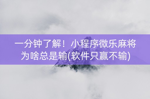一分钟了解！小程序微乐麻将为啥总是输(软件只赢不输)