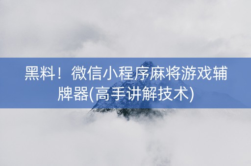 黑料！微信小程序麻将游戏辅牌器(高手讲解技术)