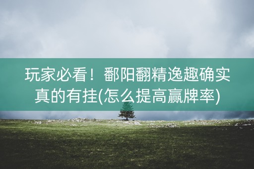玩家必看！鄱阳翻精逸趣确实真的有挂(怎么提高赢牌率)