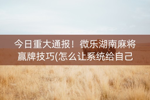 今日重大通报！微乐湖南麻将赢牌技巧(怎么让系统给自己好牌)
