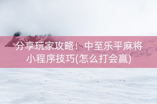 分享玩家攻略！中至乐平麻将小程序技巧(怎么打会赢)