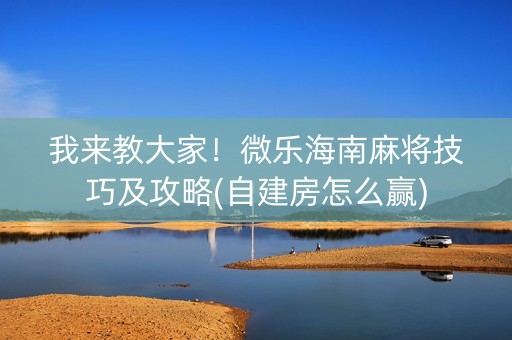 我来教大家！微乐海南麻将技巧及攻略(自建房怎么赢)