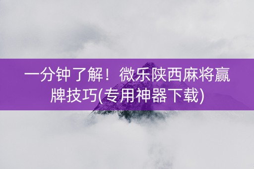 一分钟了解！微乐陕西麻将赢牌技巧(专用神器下载)