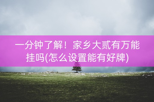 一分钟了解！家乡大贰有万能挂吗(怎么设置能有好牌)