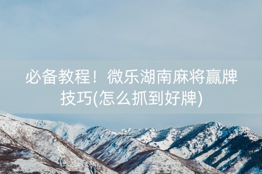 必备教程！微乐湖南麻将赢牌技巧(怎么抓到好牌)