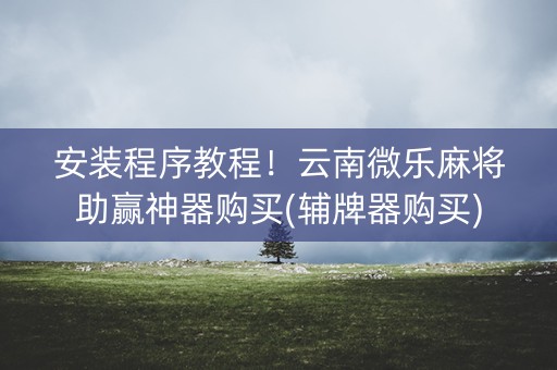 安装程序教程！云南微乐麻将助赢神器购买(辅牌器购买)