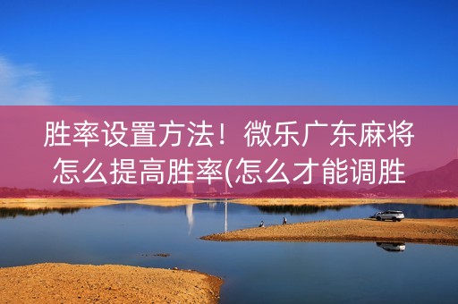 胜率设置方法！微乐广东麻将怎么提高胜率(怎么才能调胜率)