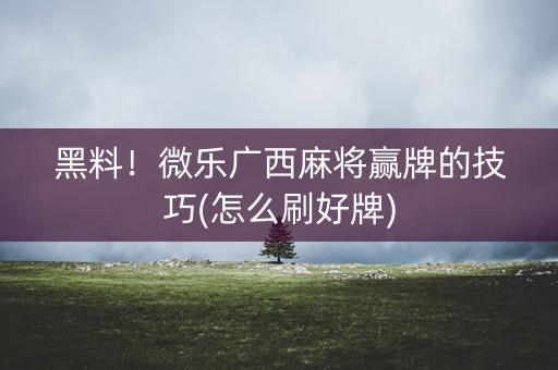 黑料！微乐广西麻将赢牌的技巧(怎么刷好牌)