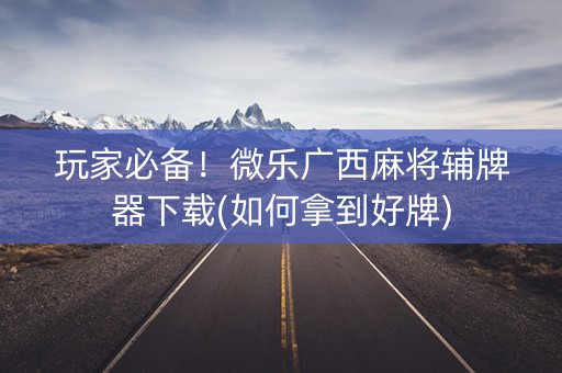 玩家必备！微乐广西麻将辅牌器下载(如何拿到好牌)