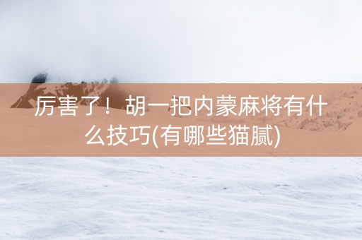 厉害了！胡一把内蒙麻将有什么技巧(有哪些猫腻)