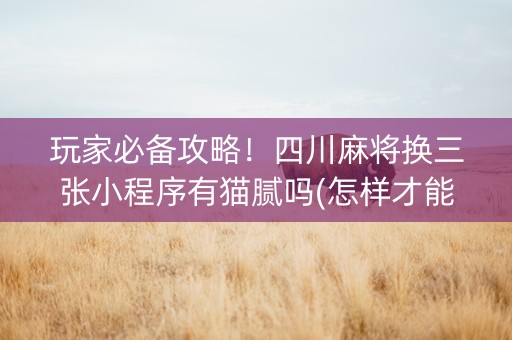 玩家必备攻略！四川麻将换三张小程序有猫腻吗(怎样才能有好牌)