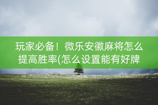 玩家必备！微乐安徽麻将怎么提高胜率(怎么设置能有好牌)
