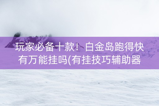玩家必备十款！白金岛跑得快有万能挂吗(有挂技巧辅助器)