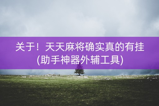 关于！天天麻将确实真的有挂(助手神器外辅工具)