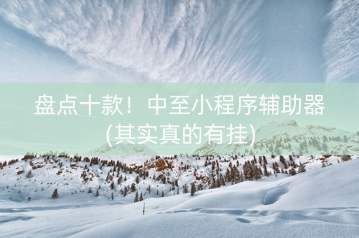 盘点十款！中至小程序辅助器(其实真的有挂)