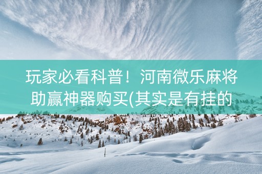玩家必看科普！河南微乐麻将助赢神器购买(其实是有挂的)
