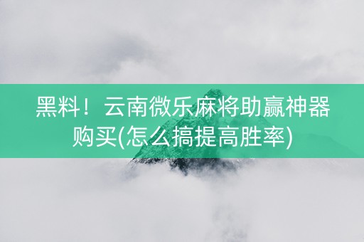 黑料！云南微乐麻将助赢神器购买(怎么搞提高胜率)