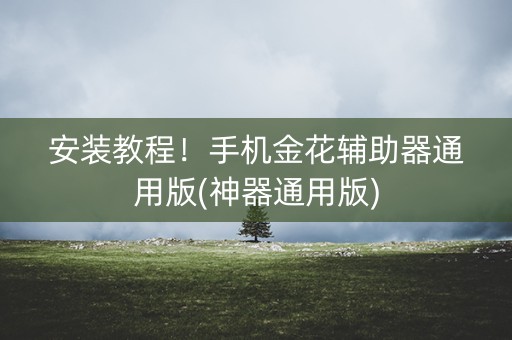 安装教程！手机金花辅助器通用版(神器通用版)