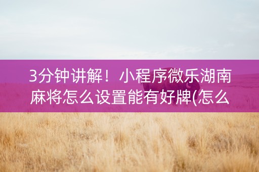 3分钟讲解！小程序微乐湖南麻将怎么设置能有好牌(怎么能赢发牌规律)