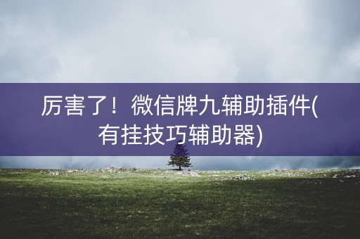 厉害了！微信牌九辅助插件(有挂技巧辅助器)
