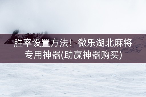胜率设置方法！微乐湖北麻将专用神器(助赢神器购买)