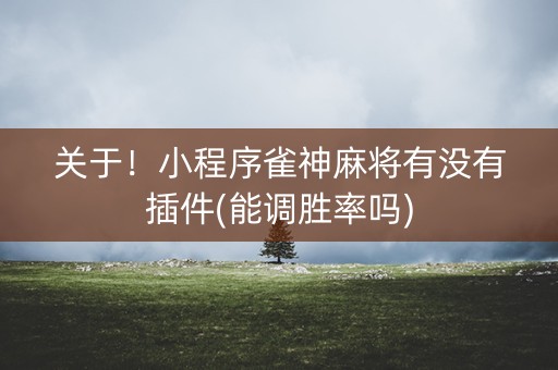 关于！小程序雀神麻将有没有插件(能调胜率吗)